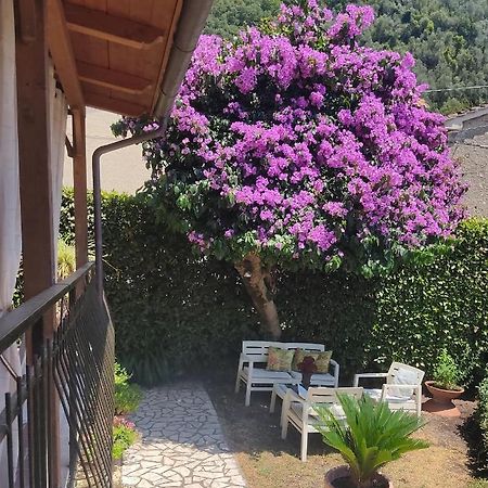 La Bouganville E Il Gelsomino Pietrasanta Dış mekan fotoğraf