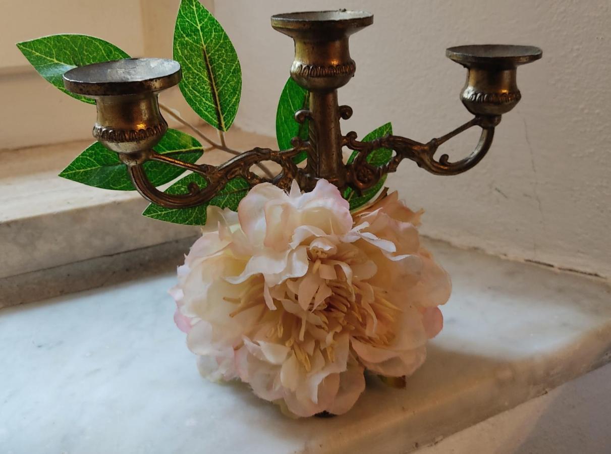 La Bouganville E Il Gelsomino Pietrasanta Dış mekan fotoğraf
