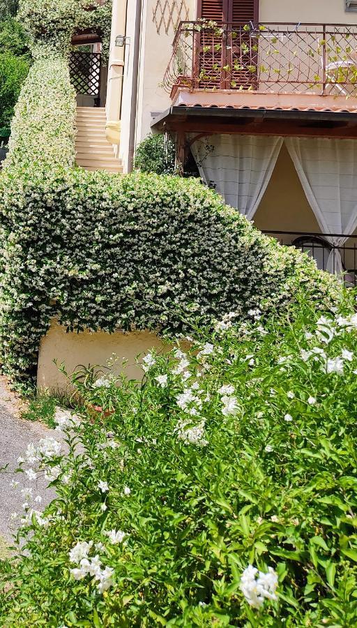 La Bouganville E Il Gelsomino Pietrasanta Dış mekan fotoğraf