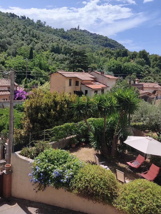 La Bouganville E Il Gelsomino Pietrasanta Dış mekan fotoğraf