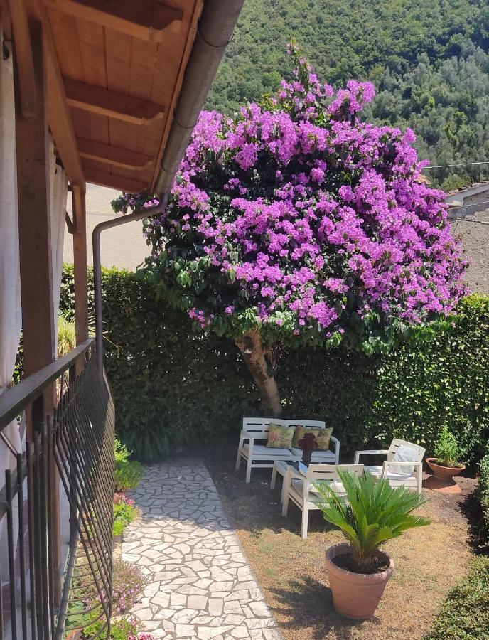 La Bouganville E Il Gelsomino Pietrasanta Dış mekan fotoğraf