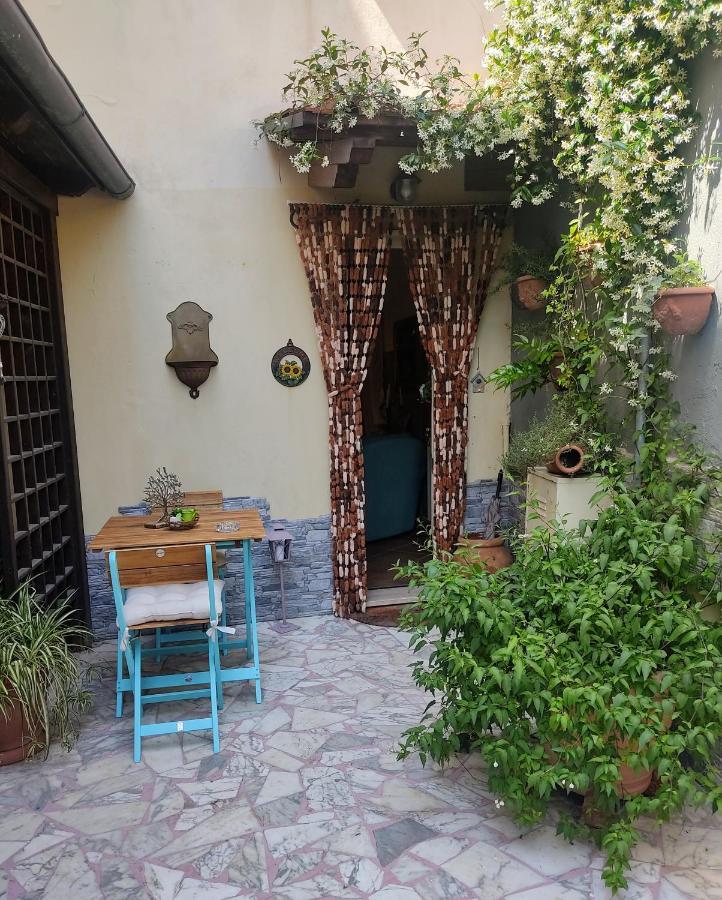 La Bouganville E Il Gelsomino Pietrasanta Dış mekan fotoğraf