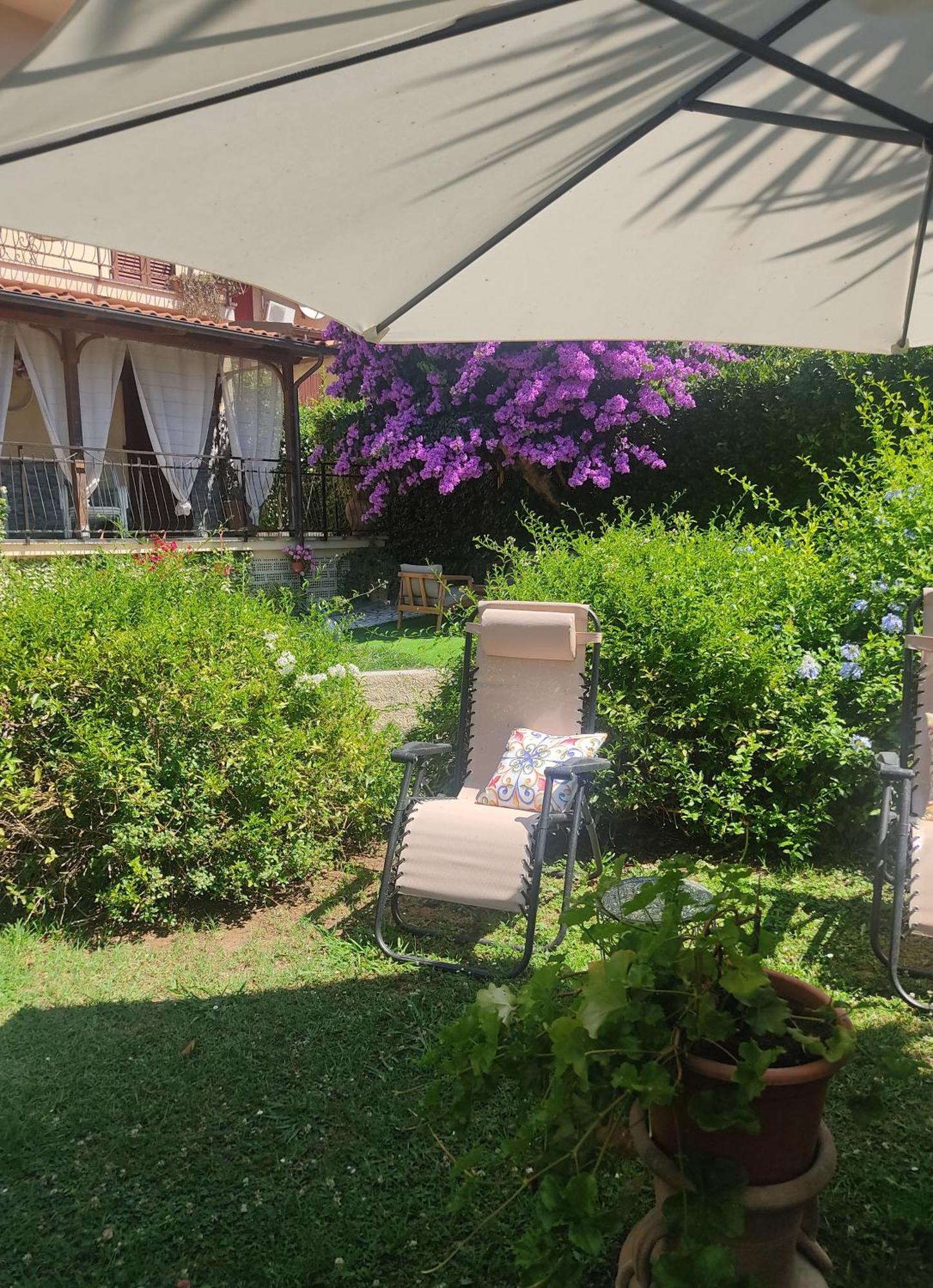 La Bouganville E Il Gelsomino Pietrasanta Dış mekan fotoğraf