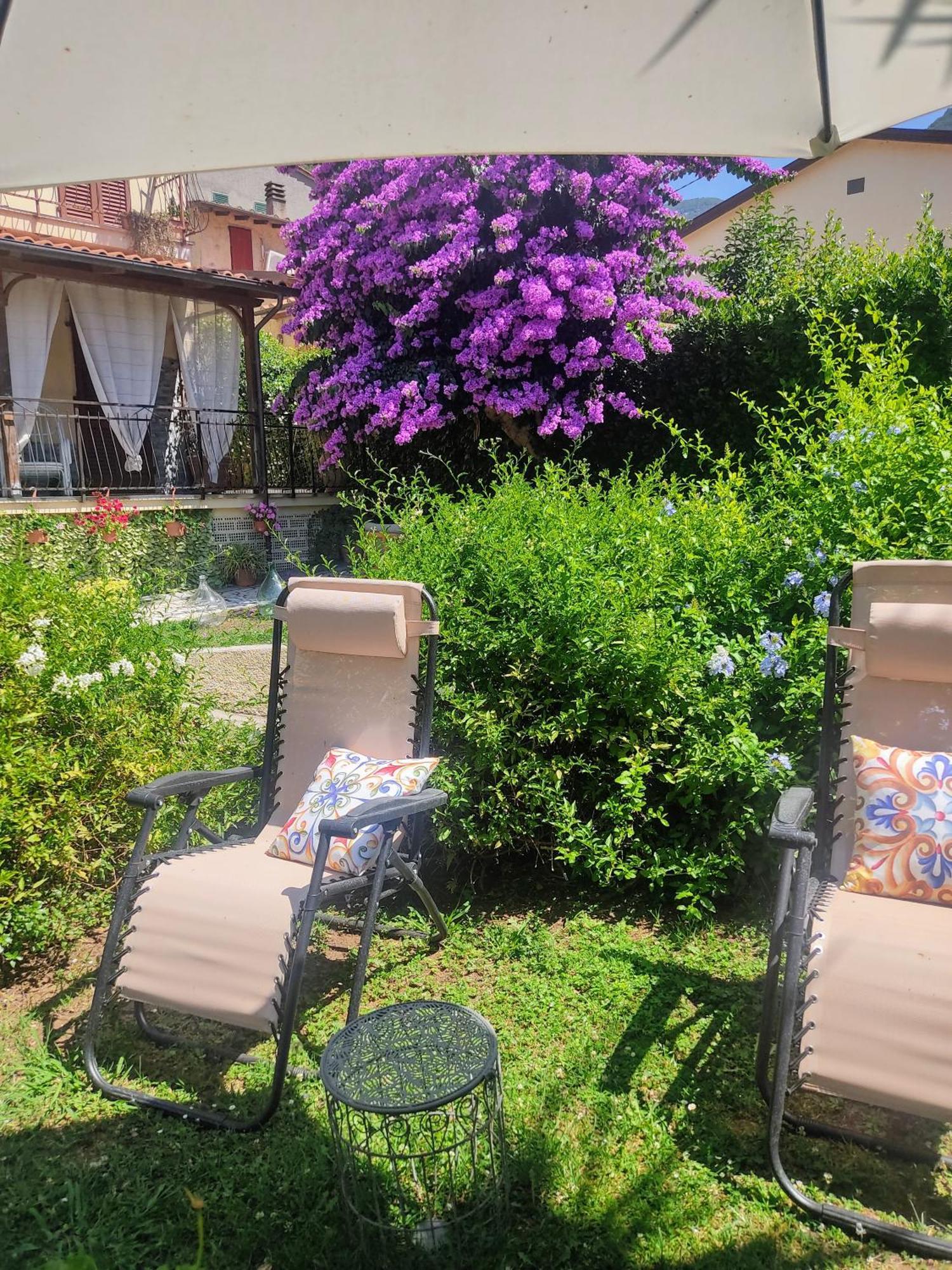La Bouganville E Il Gelsomino Pietrasanta Dış mekan fotoğraf