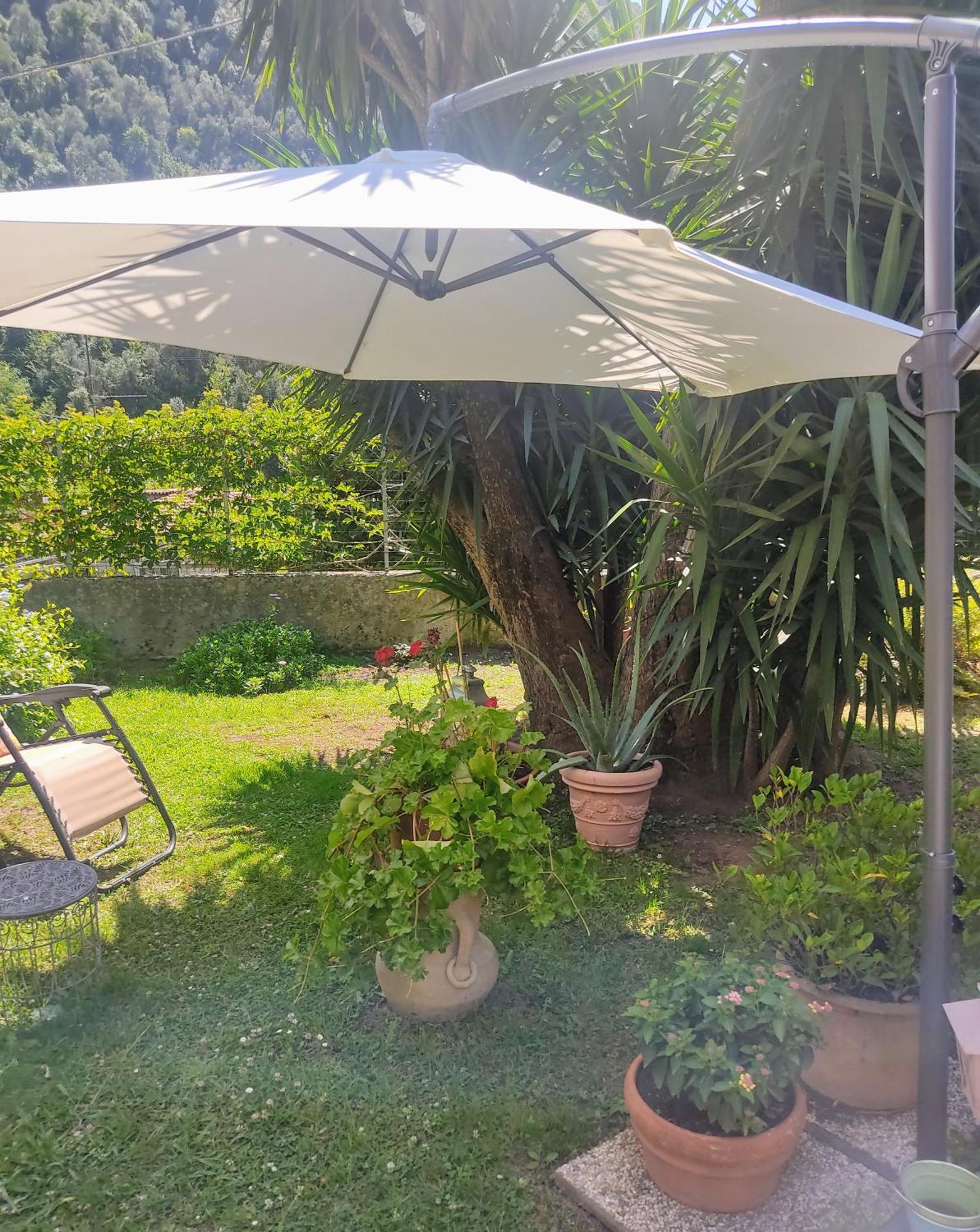 La Bouganville E Il Gelsomino Pietrasanta Dış mekan fotoğraf